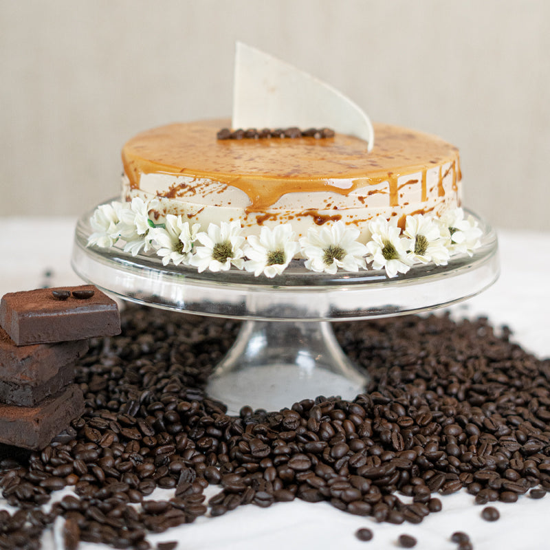 Mocha Cake